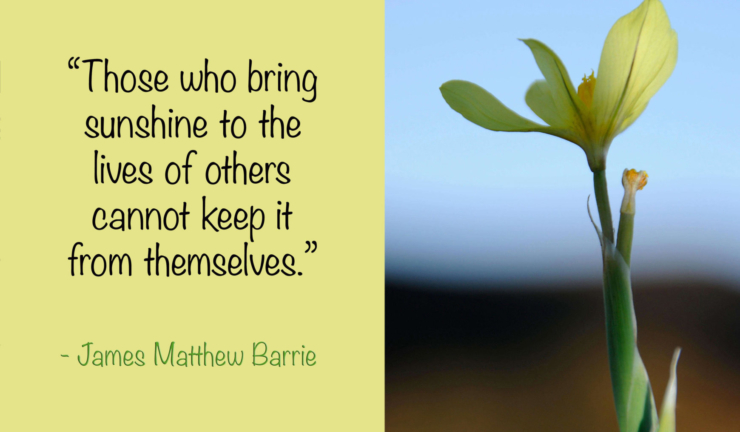 Tips to Create Your Visual Legacy