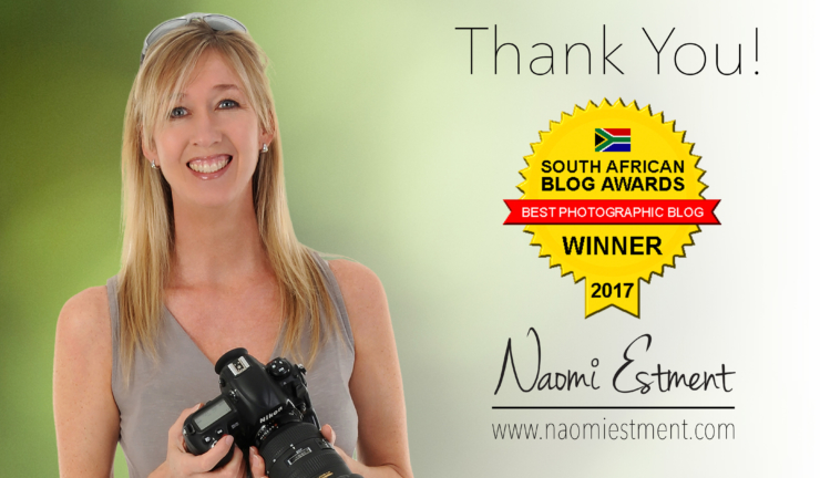 SA Best Photographic Blog